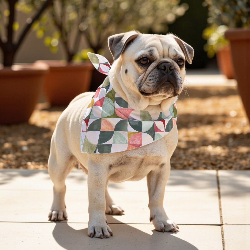 Pack 2 unidades bandana para mascotas BOO 924-5 HIGH