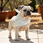 Pack 2 unidades bandana para mascotas KAN 125 2 DESERT SAGE COORD. 100