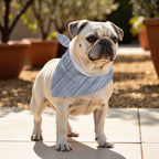 Pack 2 unidades bandana para mascotas LESA 125 STEEL BLUE