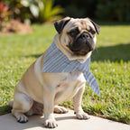 Pack 2 unidades bandana para mascotas LESA 125 STEEL BLUE