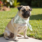 Pack 2 unidades bandana para mascotas NALIN 2