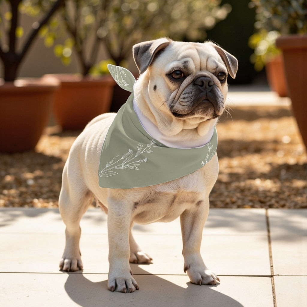 Pack 2 unidades bandana para mascotas ORBA