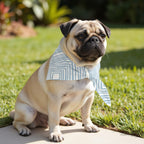 Pack 2 unidades bandana para mascotas PEÑISCOLA B