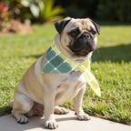 Pack 2 unidades bandana para mascotas SUTTON ESMERALDA RED.