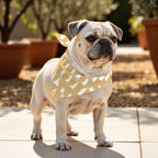 Pack 2 unidades bandana para mascotas ARTÁ