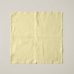 Pack 2 unidades servilletas Adelina 125 5 43x43 cm
