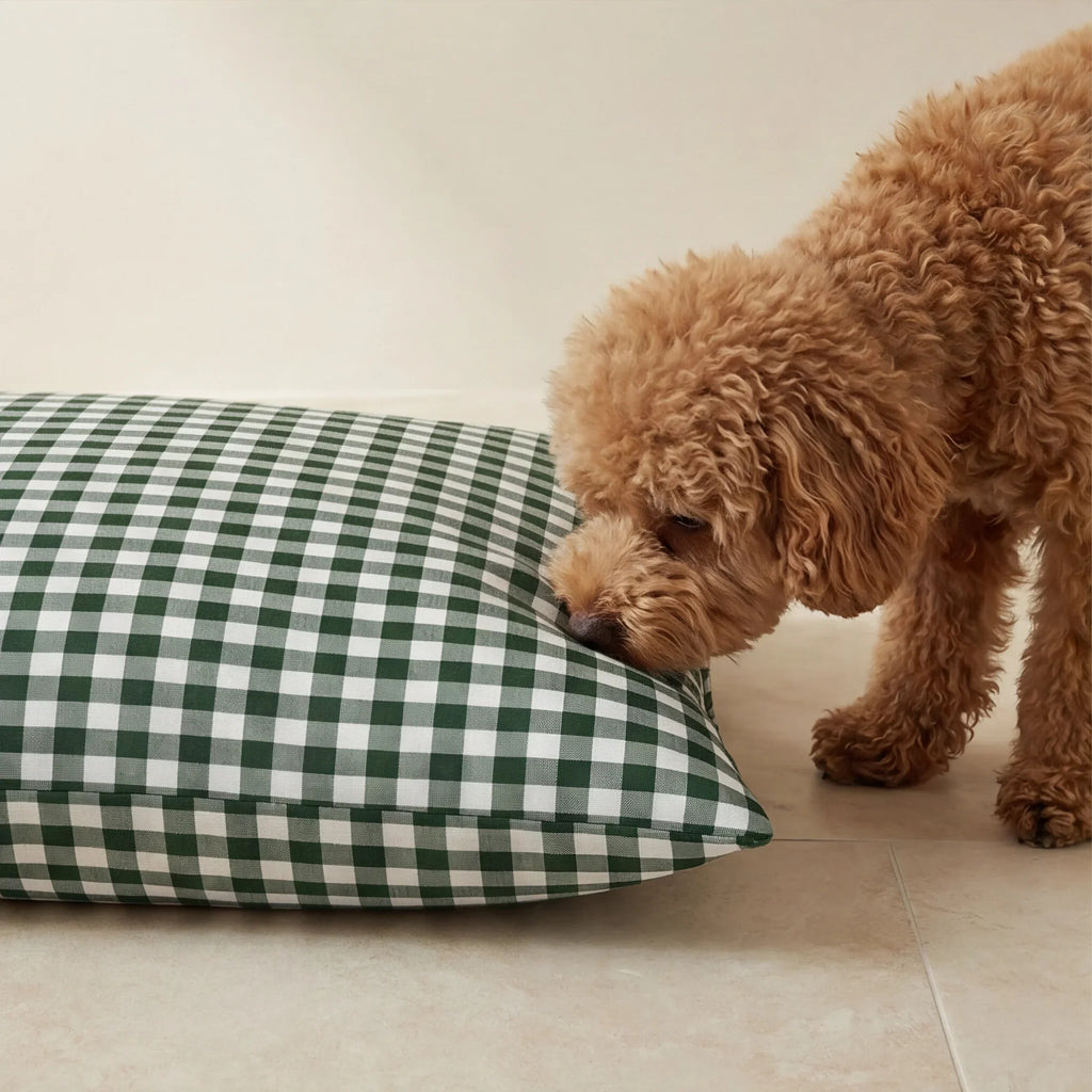 Cama para mascotas desenfundable antimanchas Aielo Botella