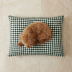 Cama para mascotas desenfundable antimanchas Aielo Botella