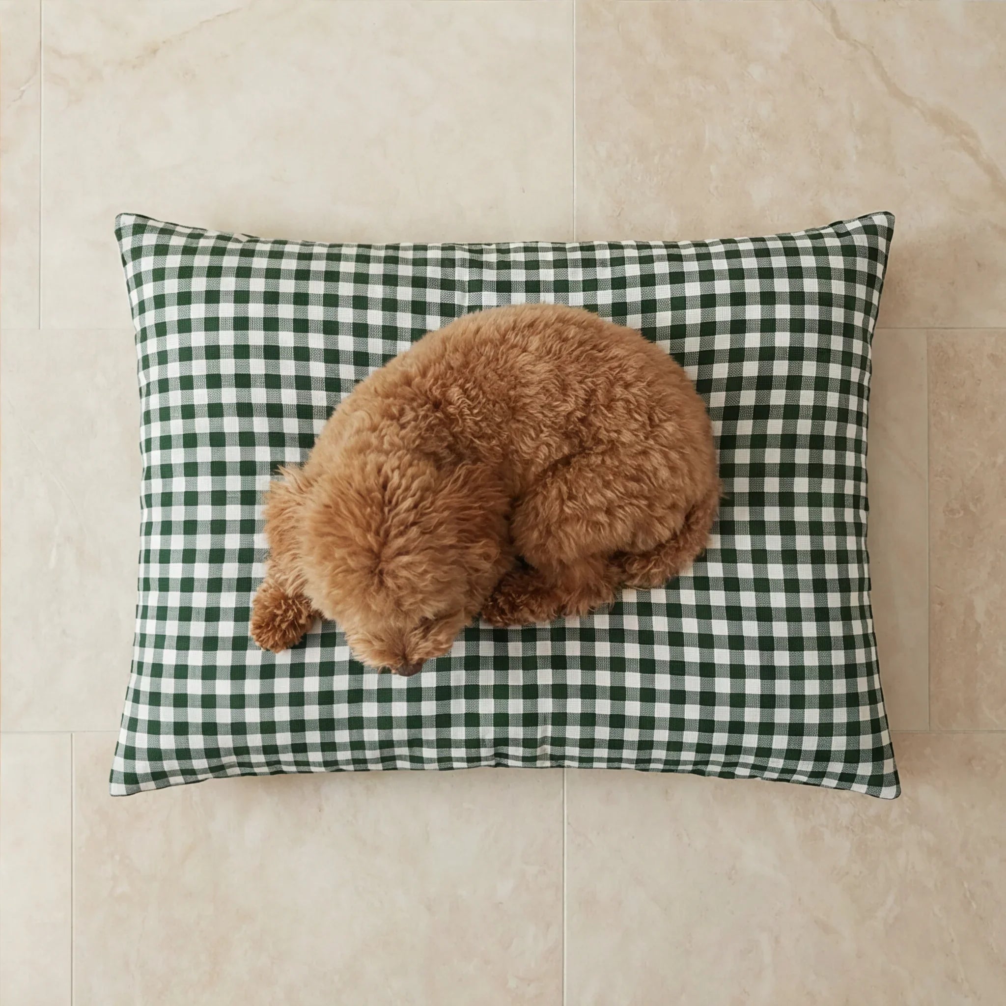 Cama para mascotas desenfundable antimanchas Aielo Botella