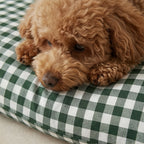 Funda para cama de mascota antimanchas Aielo Botella
