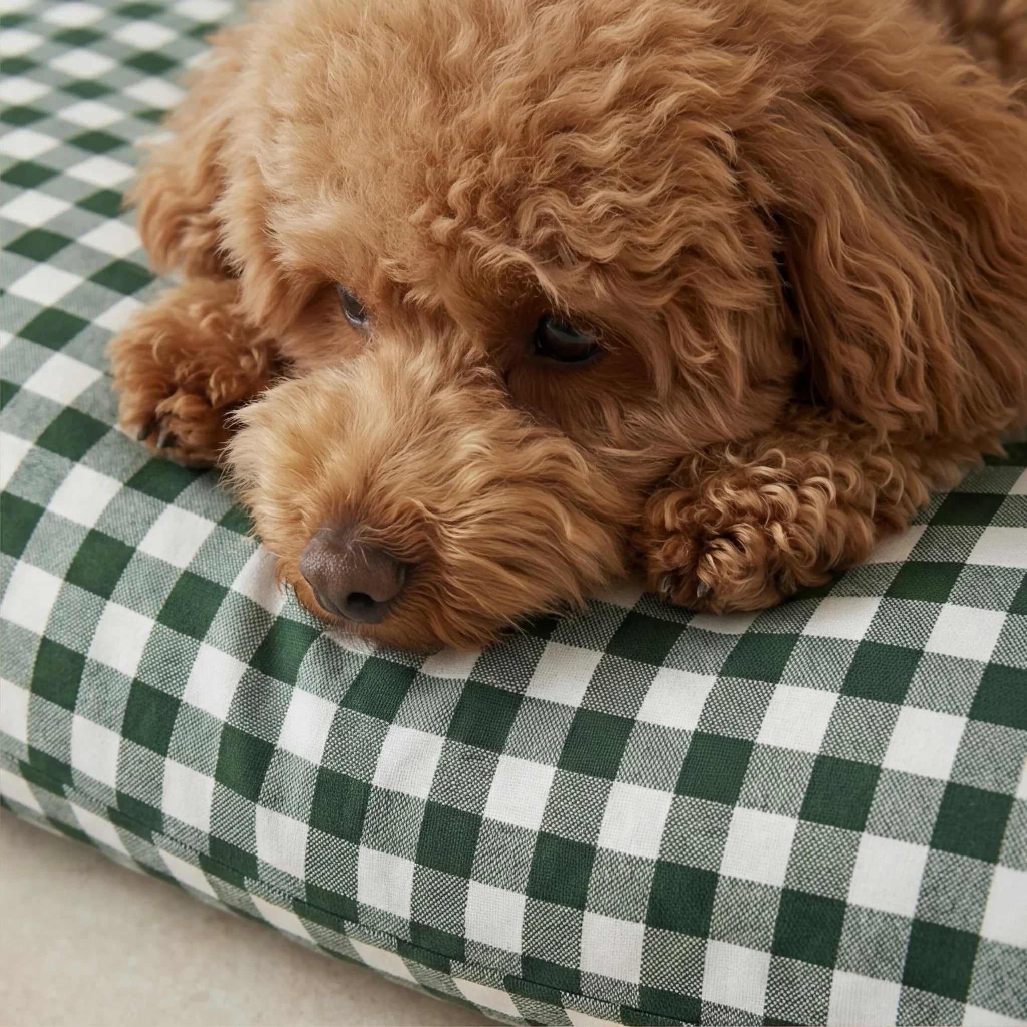Funda para cama de mascota antimanchas Aielo Botella