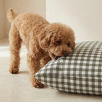 Cama para mascotas desenfundable antimanchas Aielo Marron