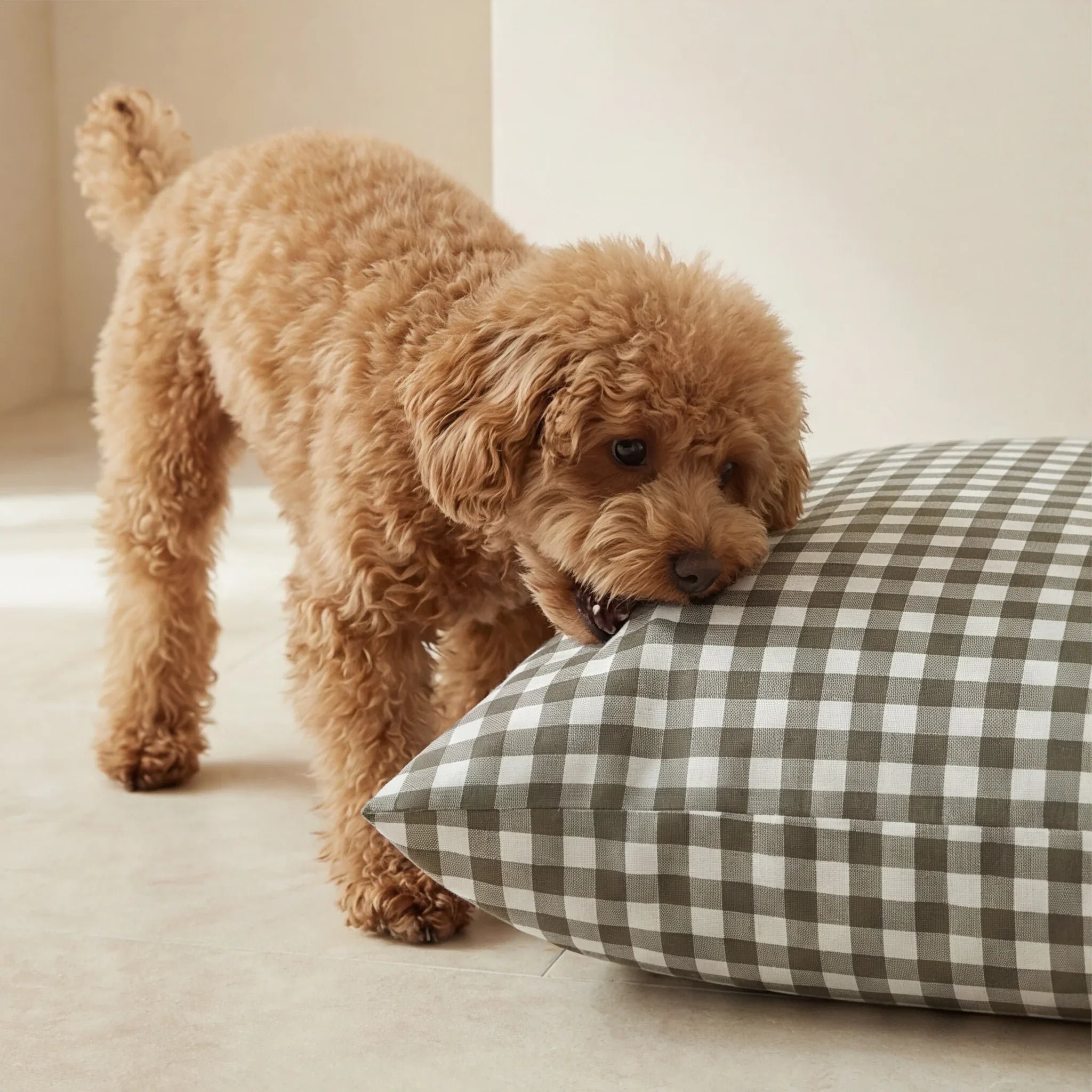 Funda para cama de mascota antimanchas Aielo Marron