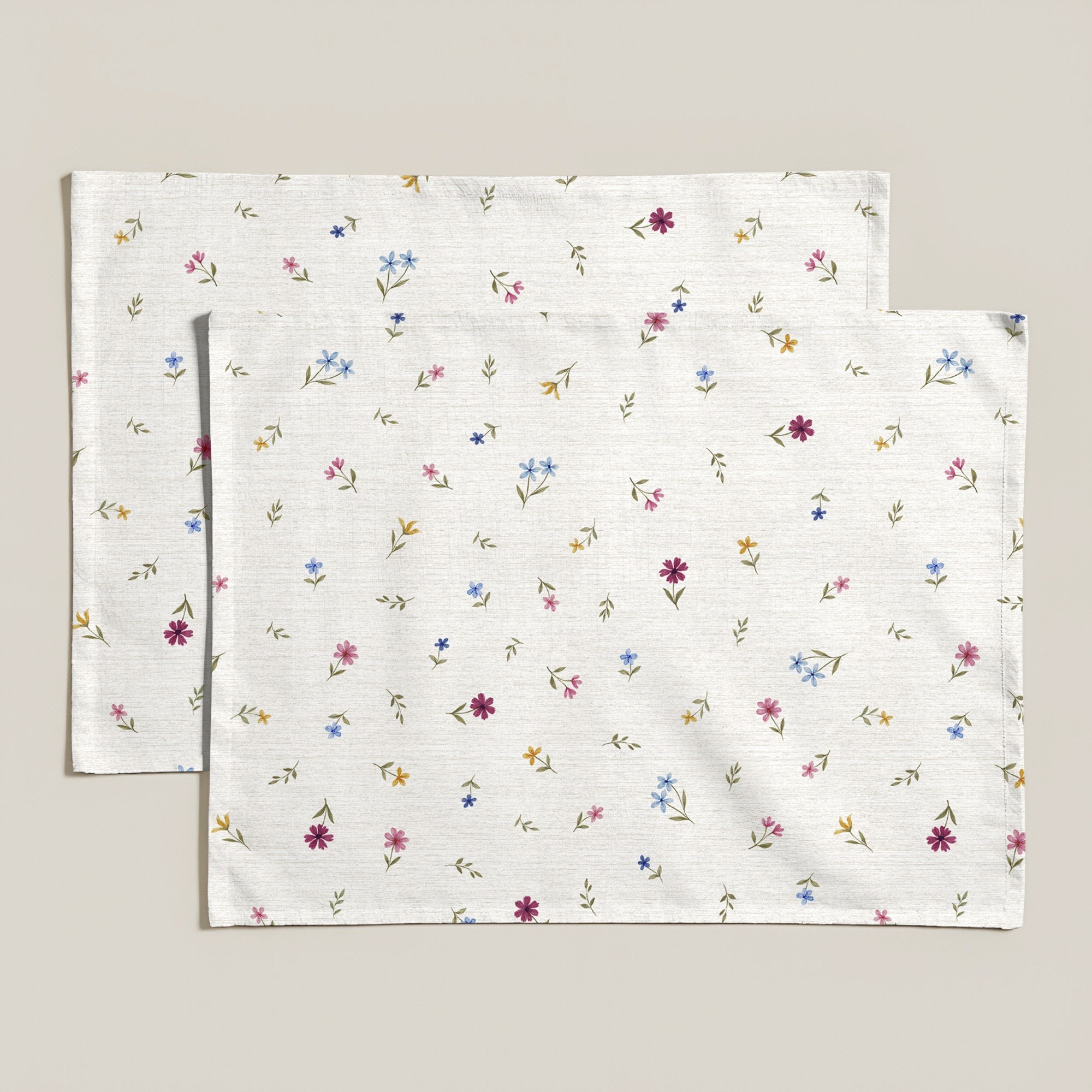 Mantel individual antimanchas pack 2 unidades Albin