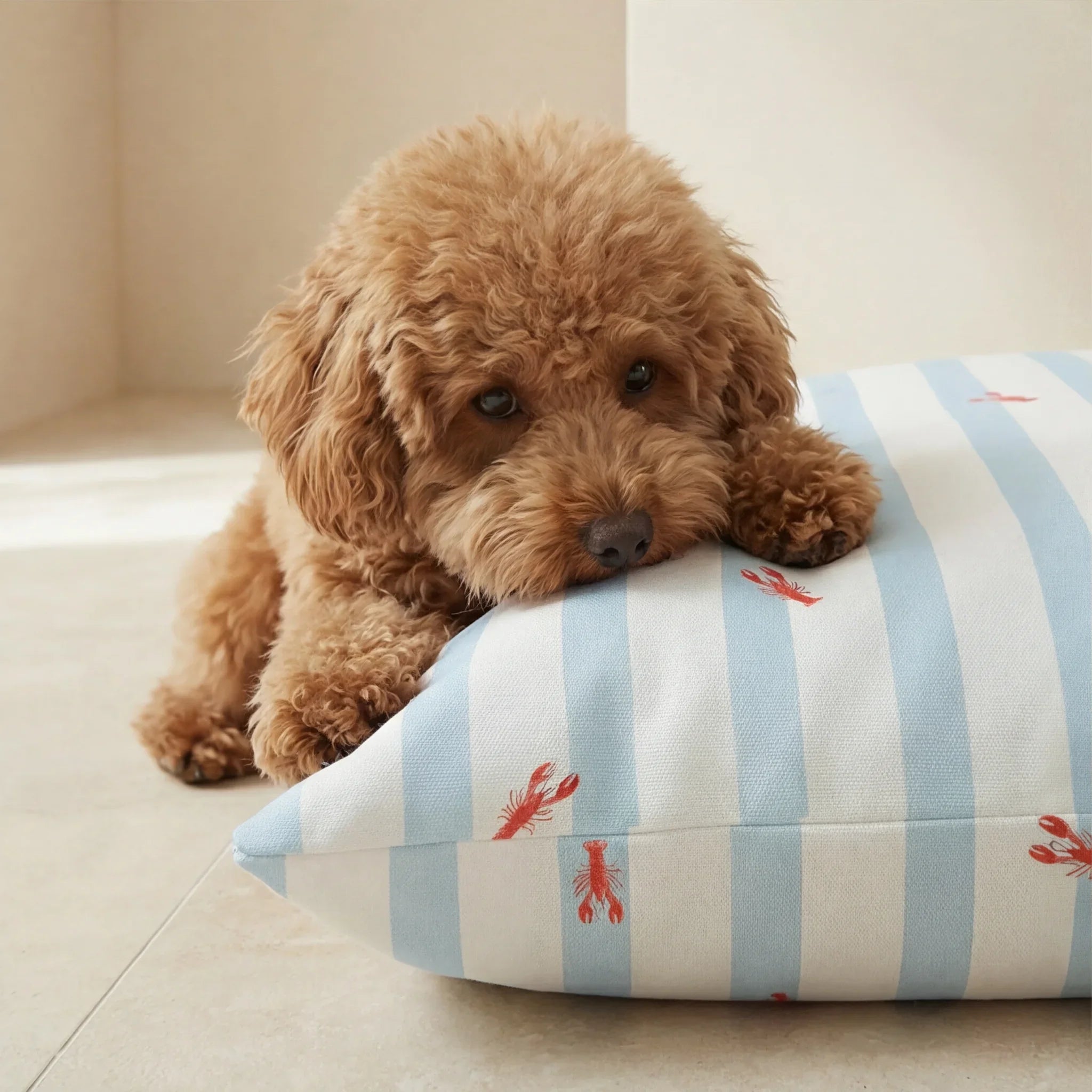 Cama para mascotas desenfundable antimanchas Anvi