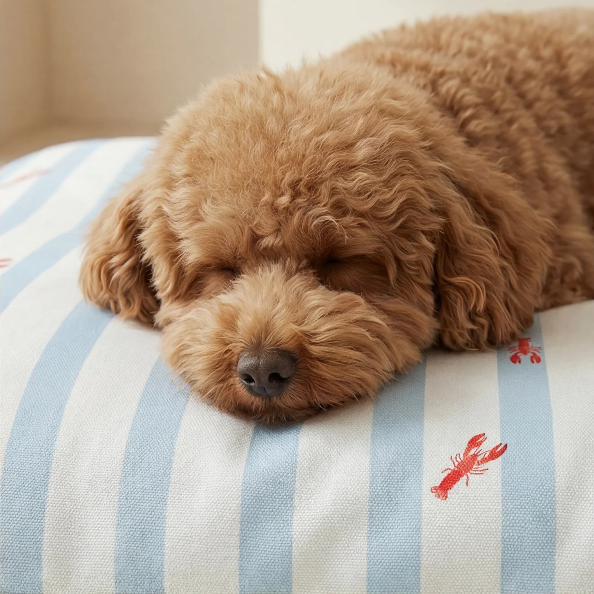 Cama para mascotas desenfundable antimanchas Anvi
