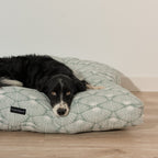 Cama para perros y gatos gruesa y acolchada 100% algodón antimanchas para mascotas Asena 4