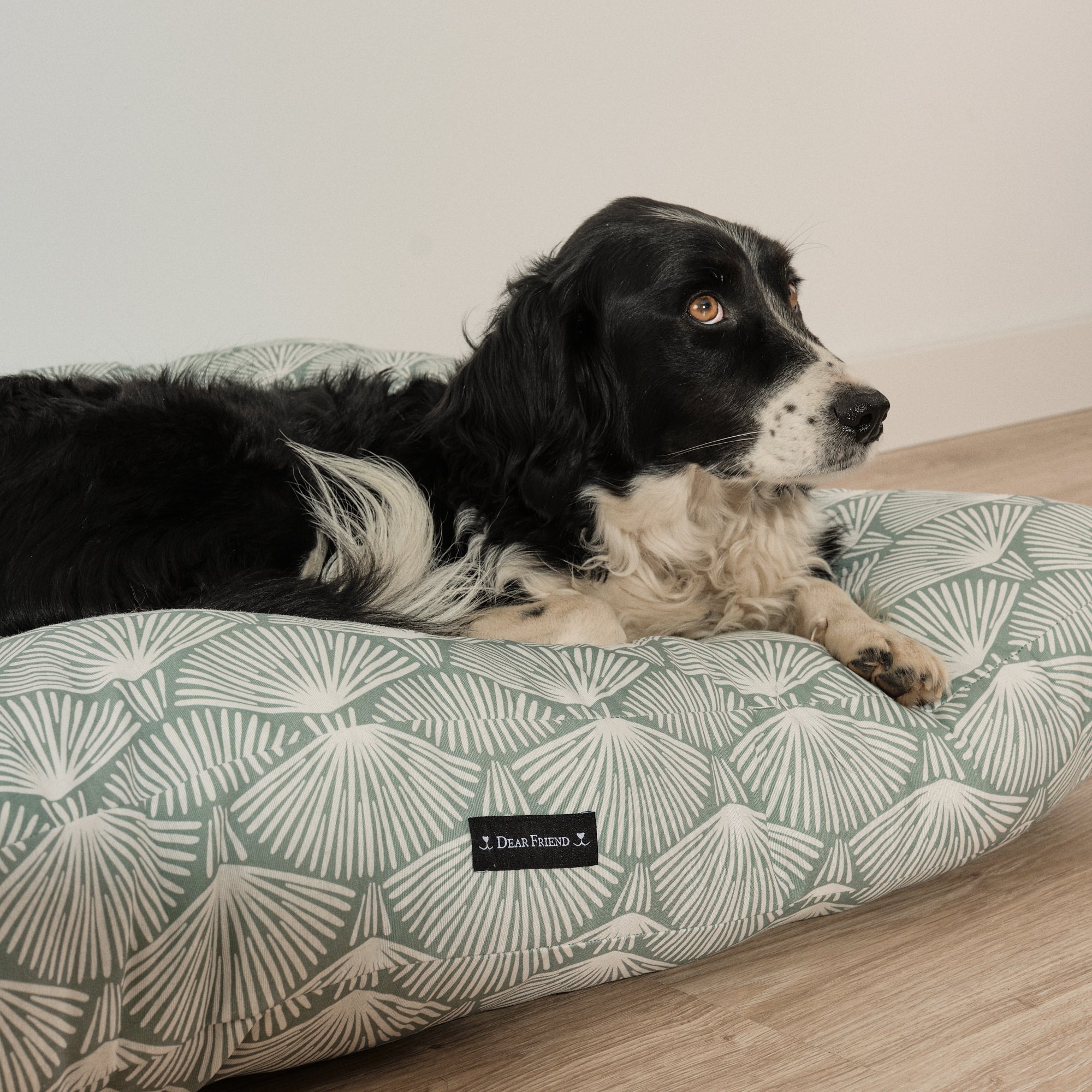 Cama para perros y gatos gruesa y acolchada 100% algodón antimanchas para mascotas Asena 4