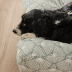Cama para perros y gatos gruesa y acolchada 100% algodón antimanchas para mascotas Asena 4