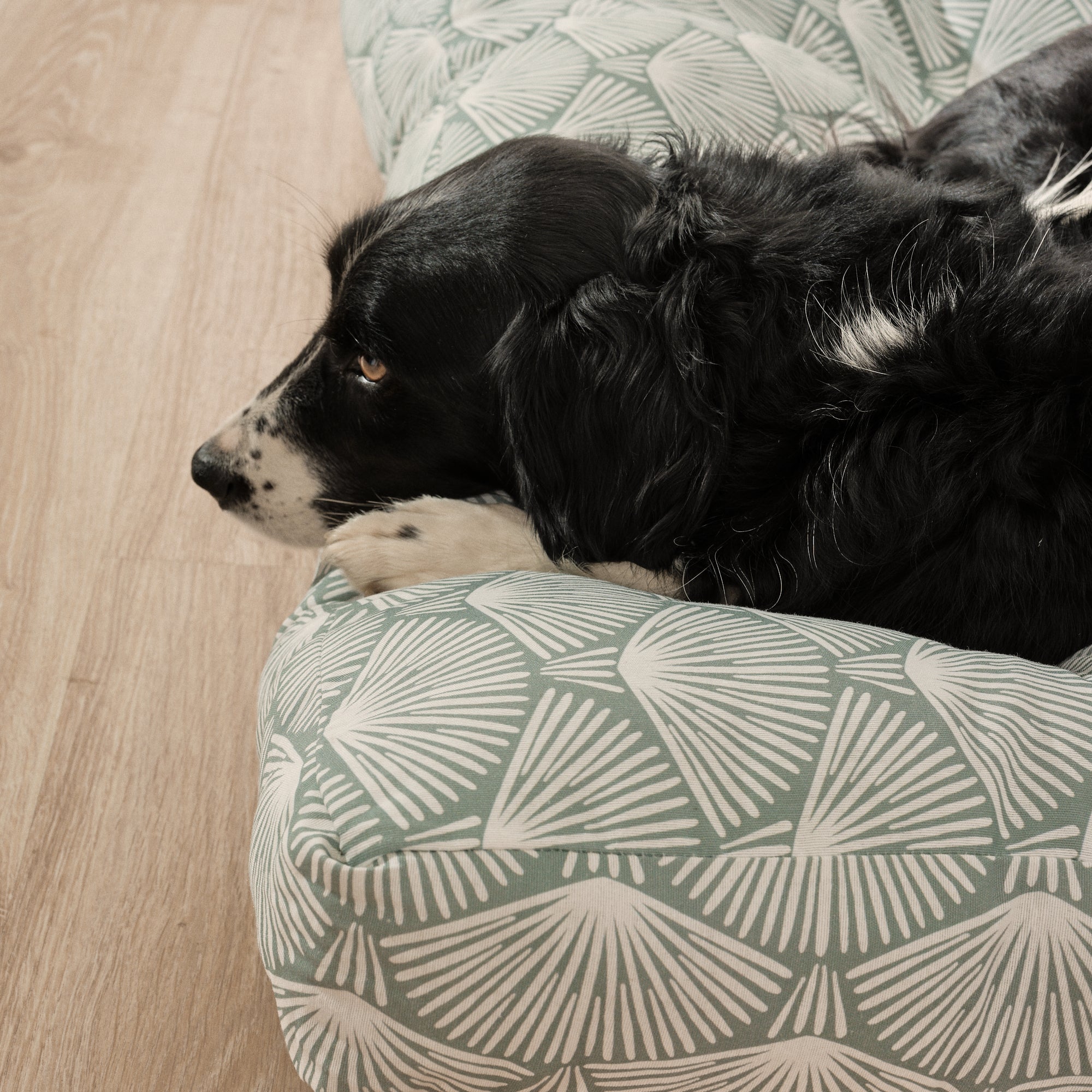 Cama para perros y gatos gruesa y acolchada 100% algodón antimanchas para mascotas Asena 4