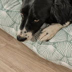 Cama para perros y gatos gruesa y acolchada 100% algodón antimanchas para mascotas Asena 4