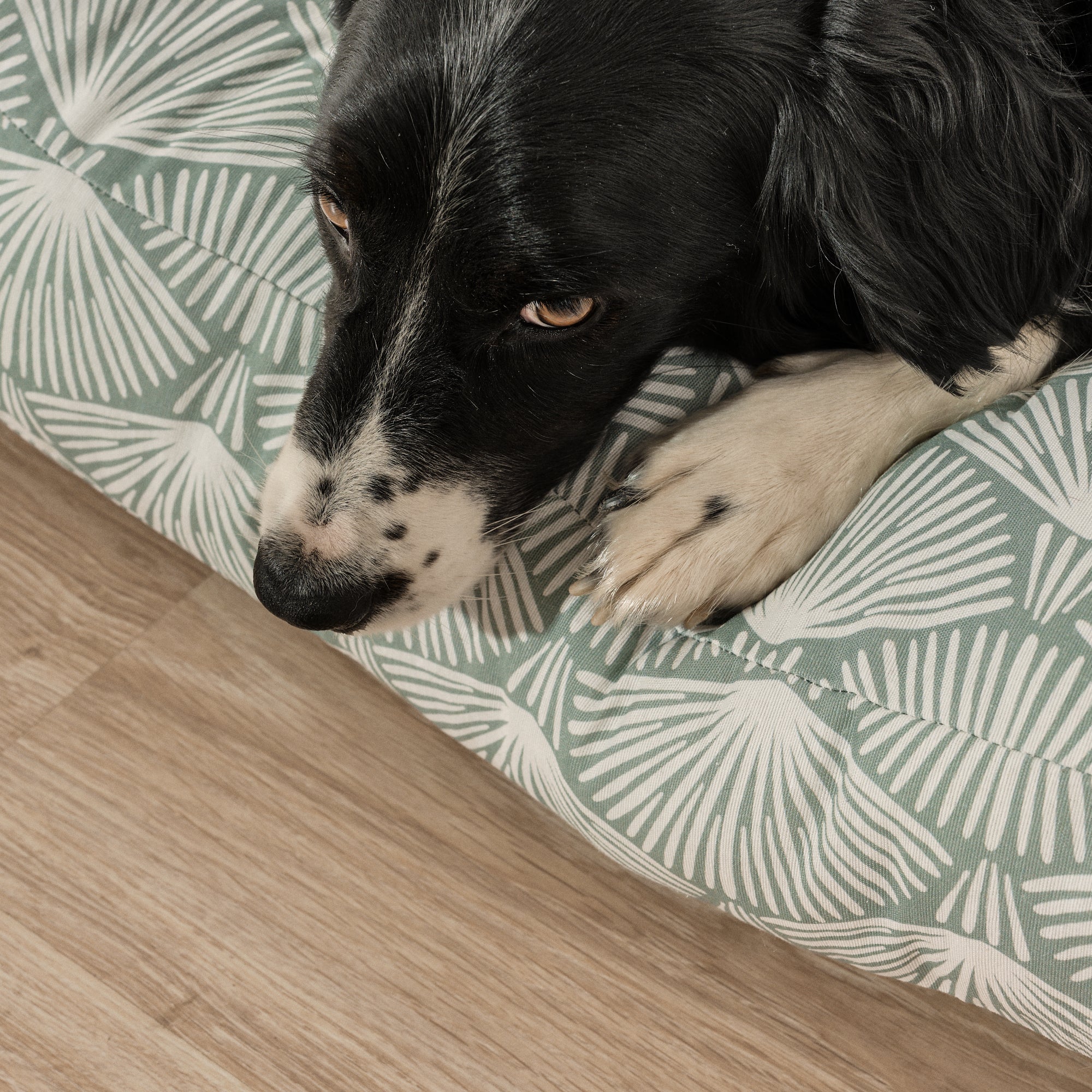 Cama para perros y gatos gruesa y acolchada 100% algodón antimanchas para mascotas Asena 4