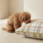 Funda para cama de mascota antimanchas Benimodo