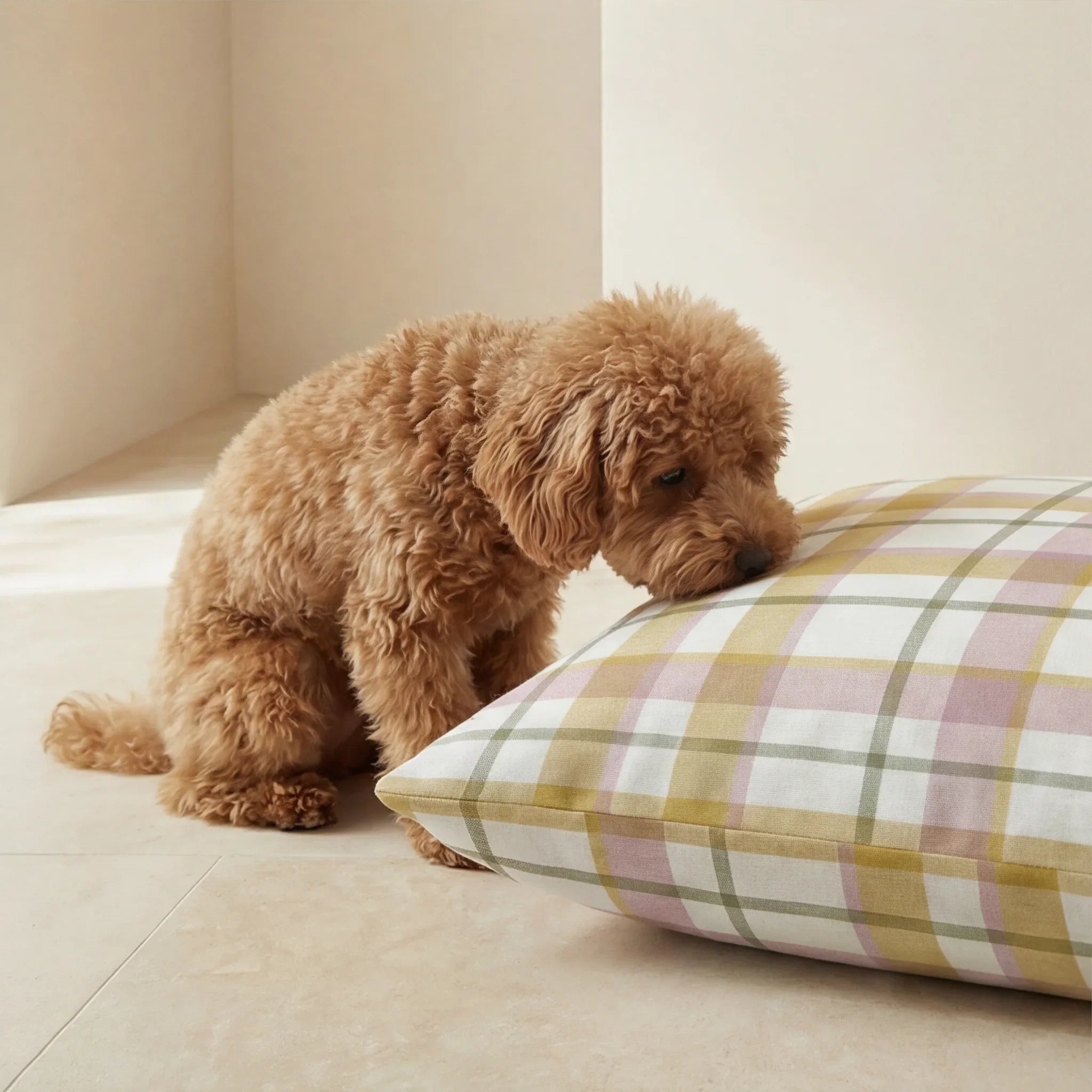 Funda para cama de mascota antimanchas Benimodo