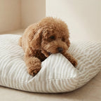 Cama para mascotas desenfundable antimanchas Bobby Beige