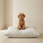 Funda para cama de mascota antimanchas Bobby Beige
