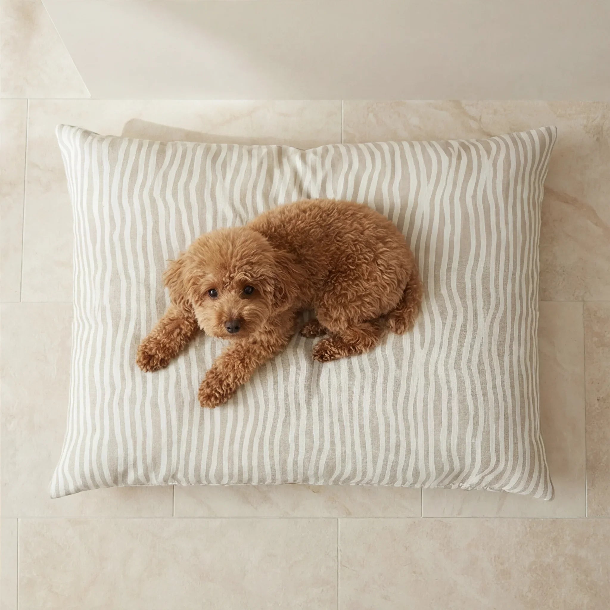Cama para mascotas desenfundable antimanchas Bobby Beige