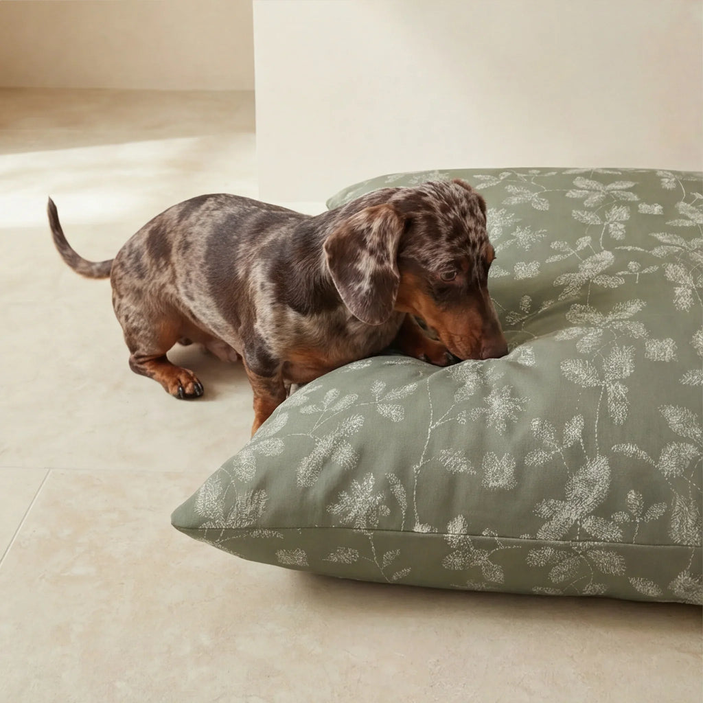 Cama para mascotas desenfundable antimanchas Bolbaite