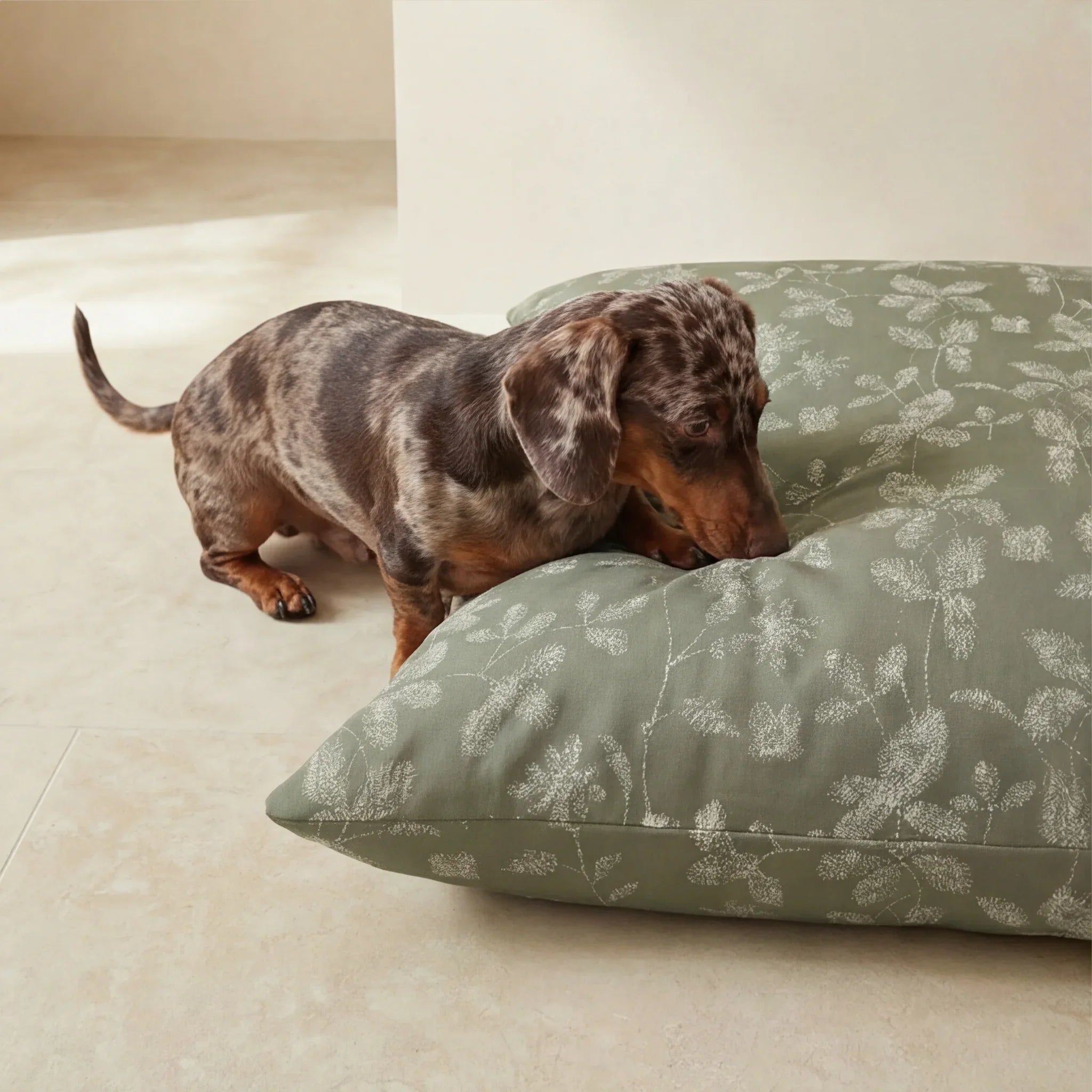 Cama para mascotas desenfundable antimanchas Bolbaite