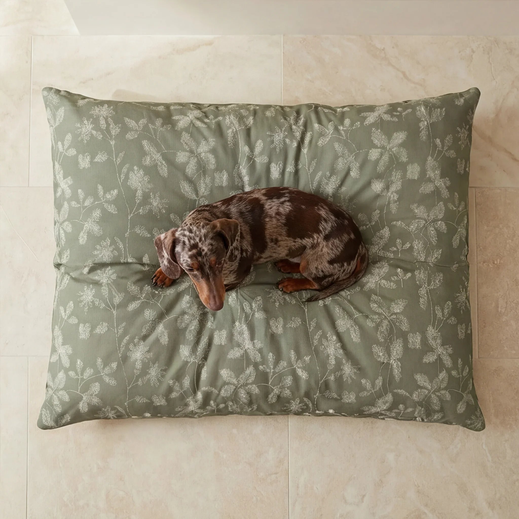 Cama para mascotas desenfundable antimanchas Bolbaite