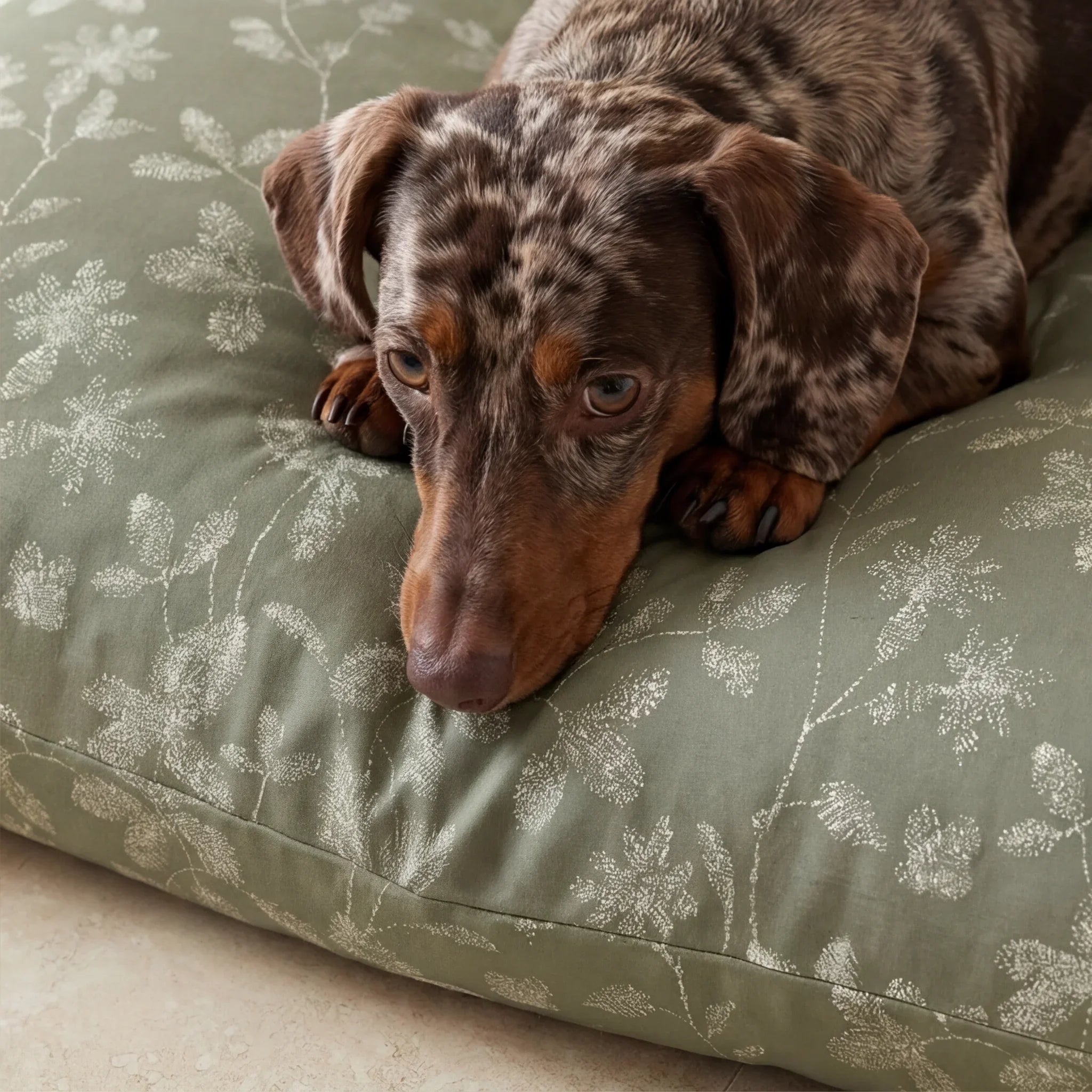 Cama para mascotas desenfundable antimanchas Bolbaite