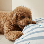 Cama para mascotas desenfundable antimanchas Boni