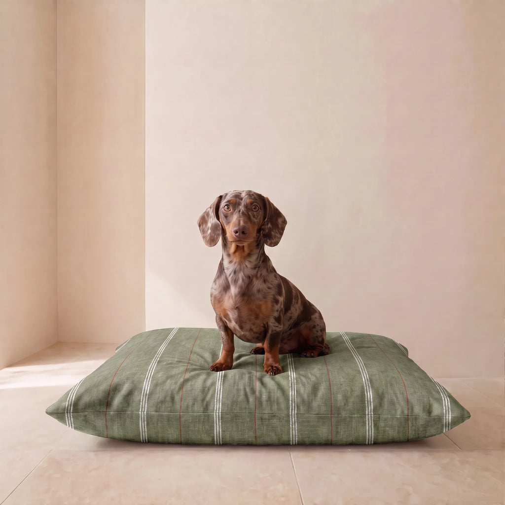 Funda para cama de mascota antimanchas Eira Verde