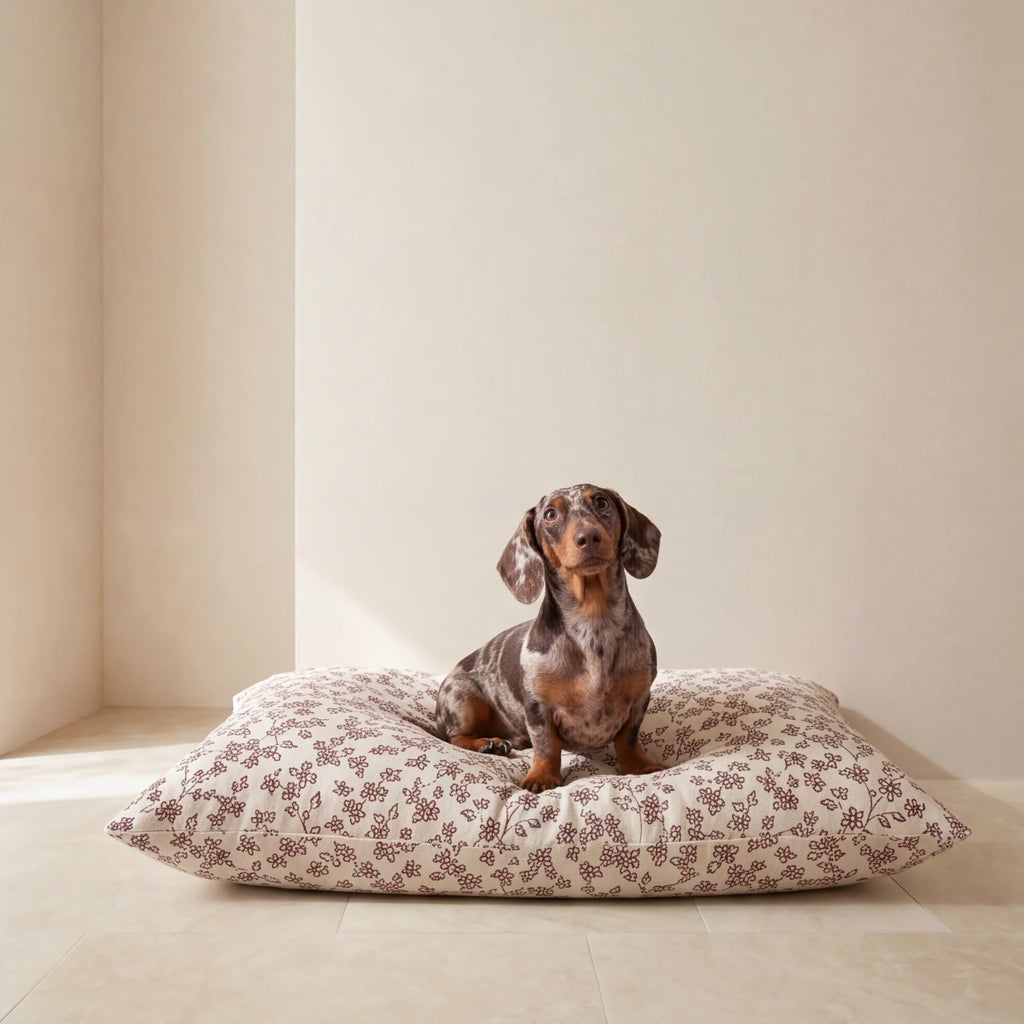 Cama para mascotas desenfundable antimanchas Bruma