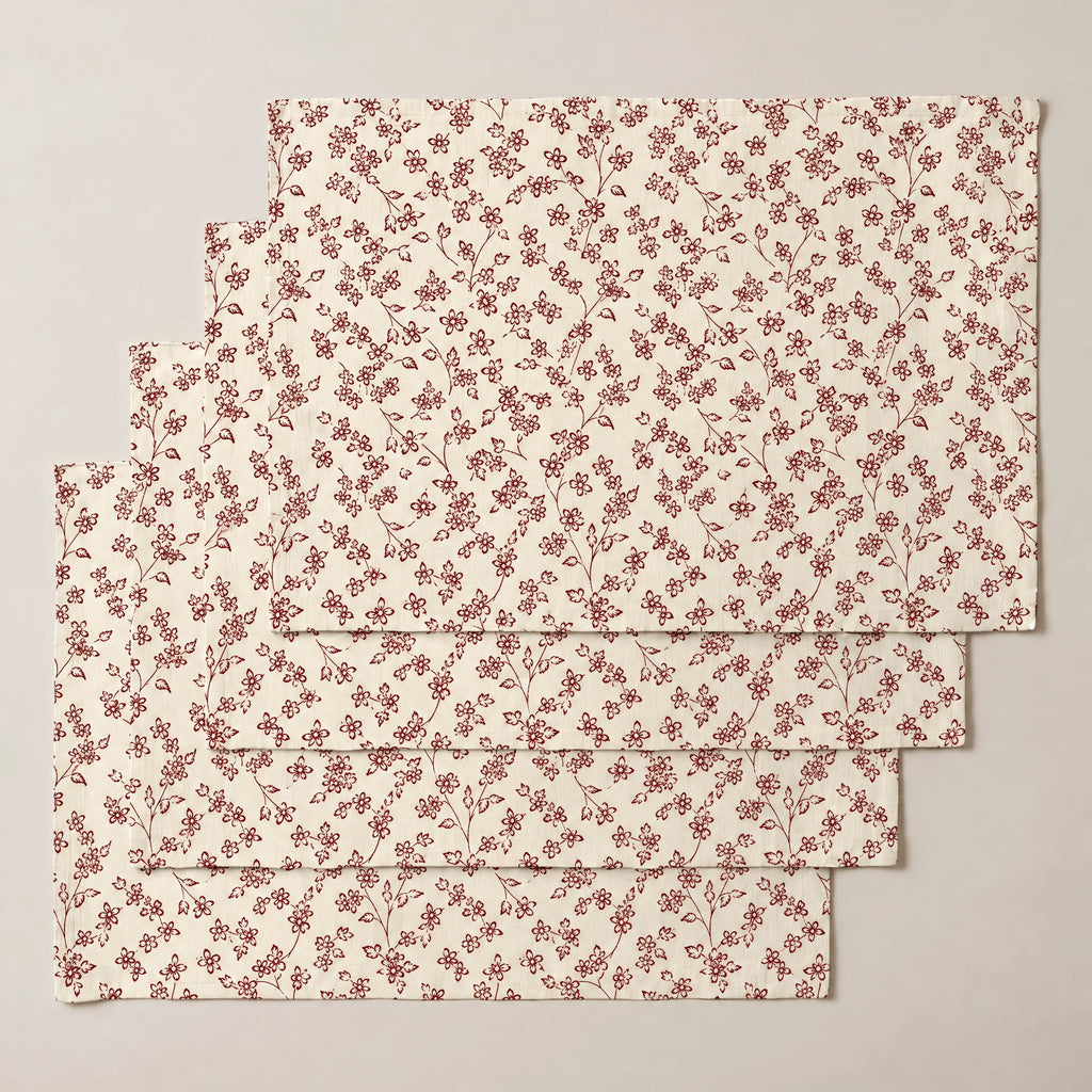 Mantel individual antimanchas pack 4 unidades Bruma