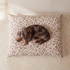 Cama para mascotas desenfundable antimanchas Bruma
