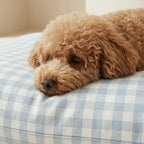 Funda para cama de mascota antimanchas Calafat Azul Claro