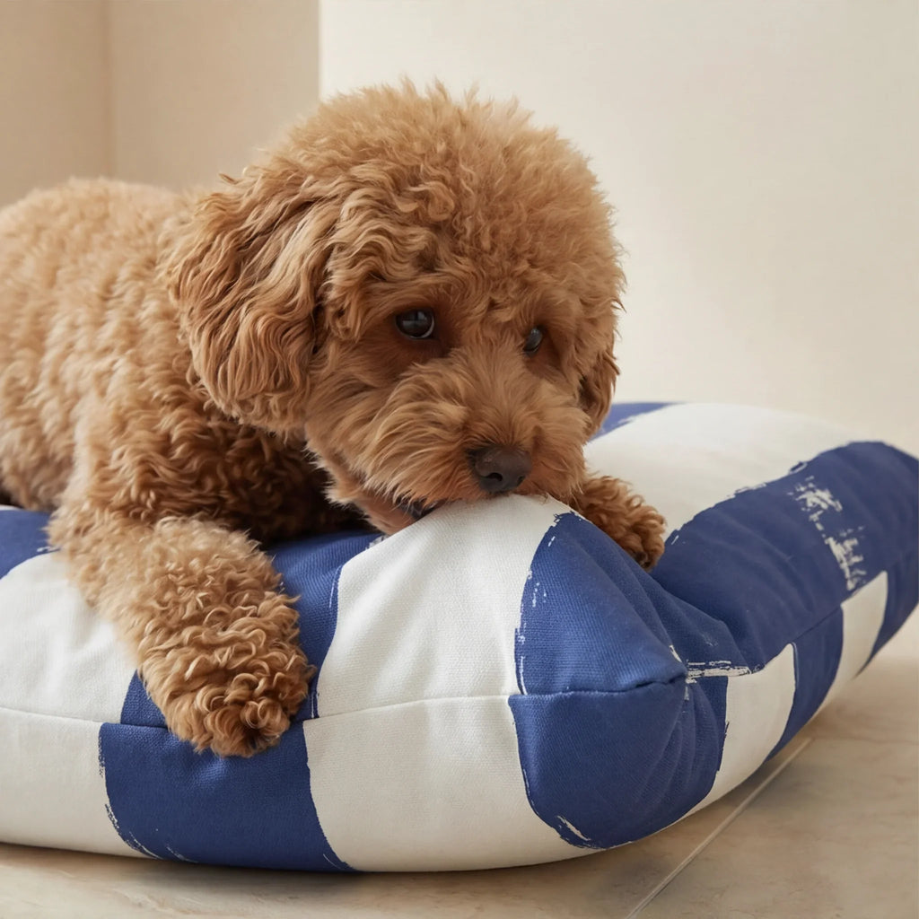 Cama para mascotas desenfundable antimanchas Cambrils