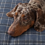 Funda para cama de mascota antimanchas Camilo Blue