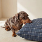 Funda para cama de mascota antimanchas Camilo Blue