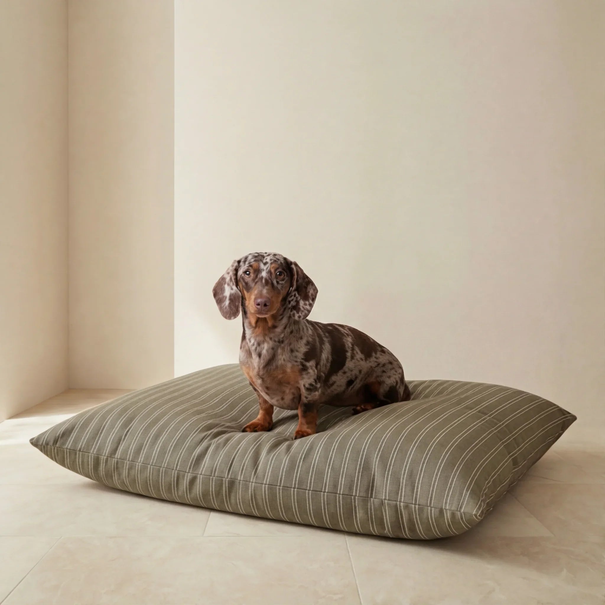 Cama para mascotas desenfundable antimanchas Canela
