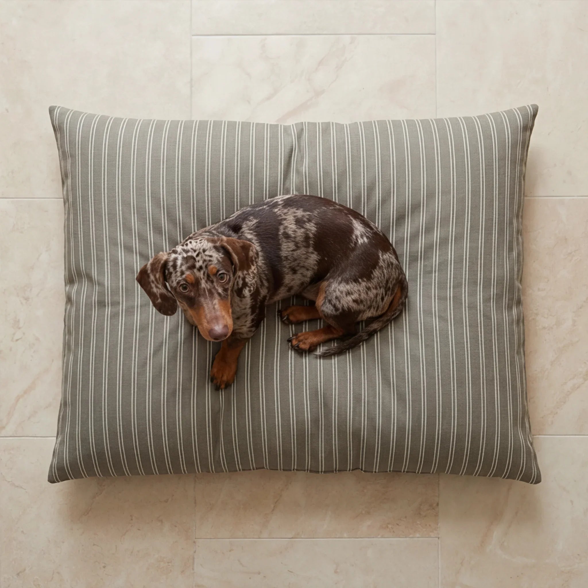 Cama para mascotas desenfundable antimanchas Canela