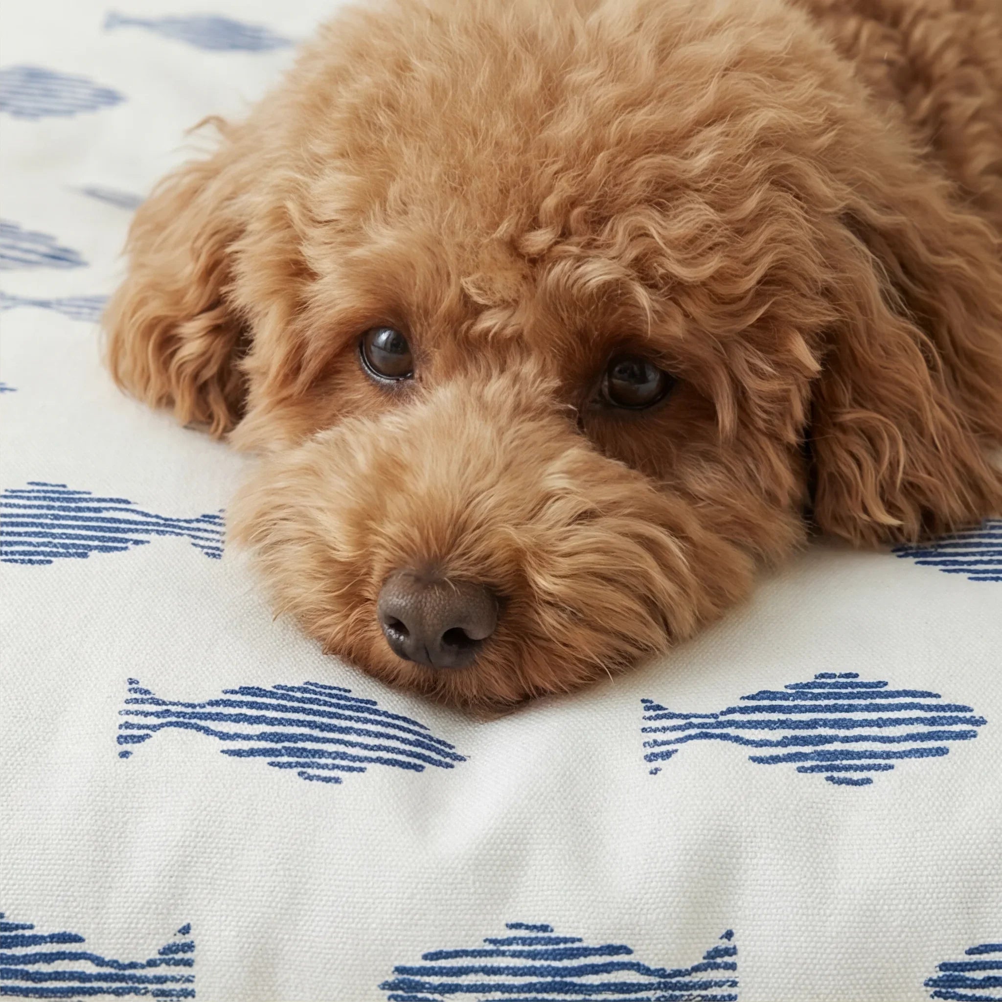 Funda para cama de mascota antimanchas Chiry