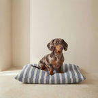 Cama para mascotas desenfundable antimanchas Chispa