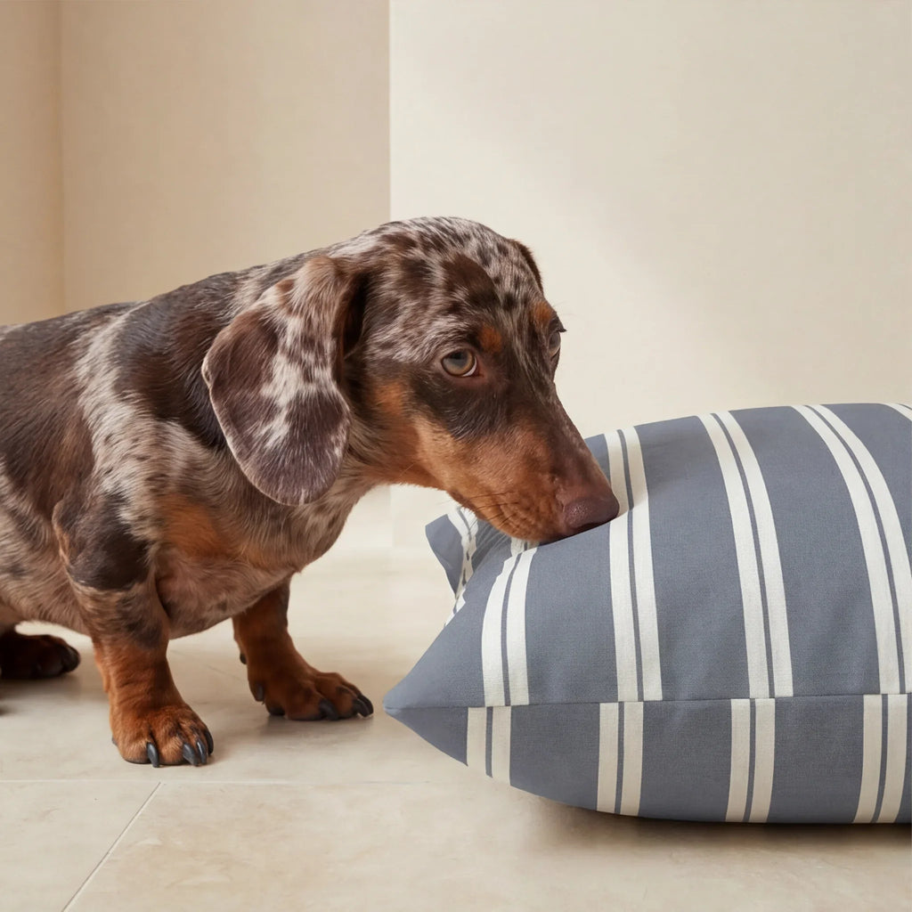 Funda para cama de mascota antimanchas Chispa