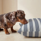 Funda para cama de mascota antimanchas Chispa